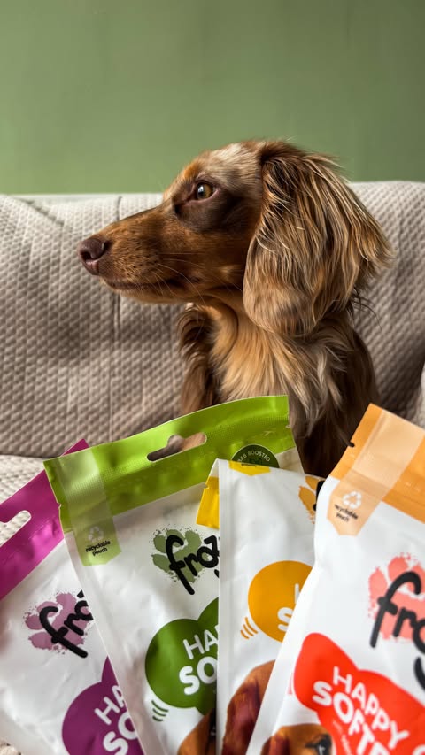 Instagram post by @aminipotato for Frozzys. Caption reads: [...] we received these yummy treats from....