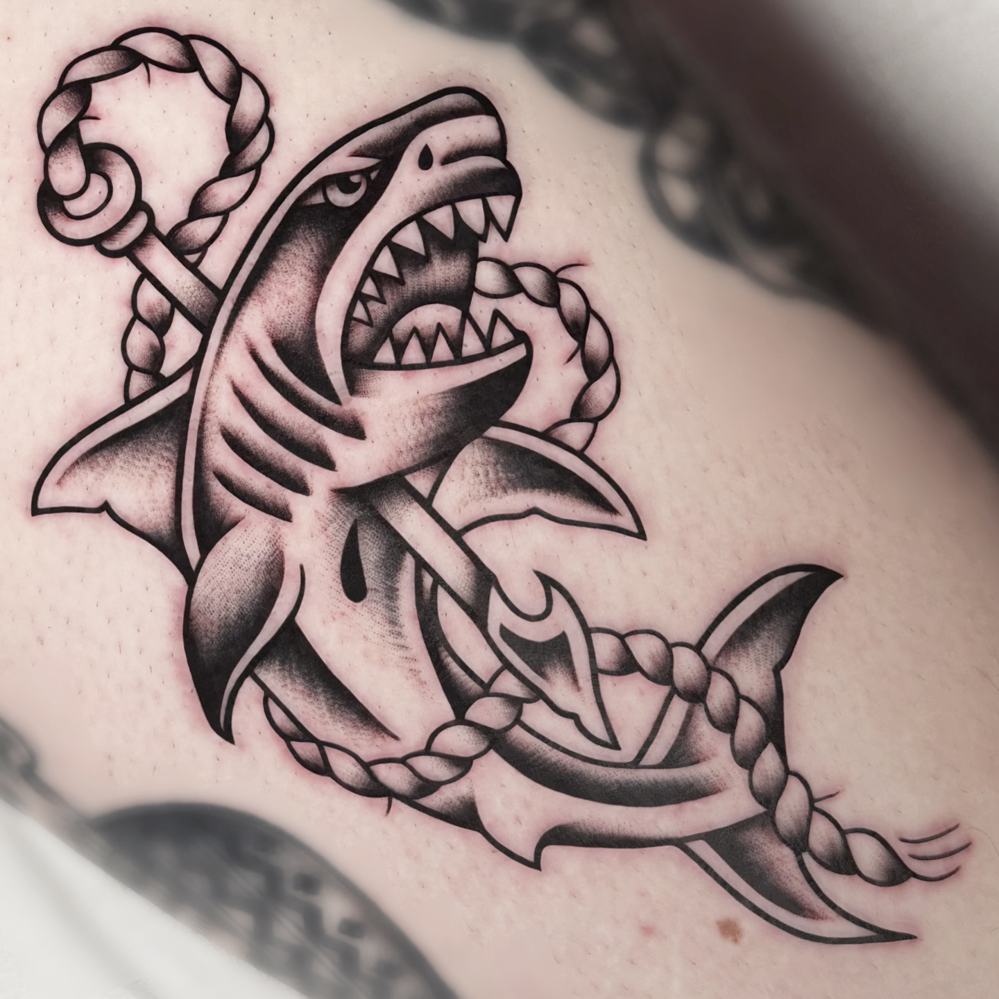 Instagram post by @saschi_mccormack for Killer Ink Limited. Caption reads: I will, mourn the loss and I will be....