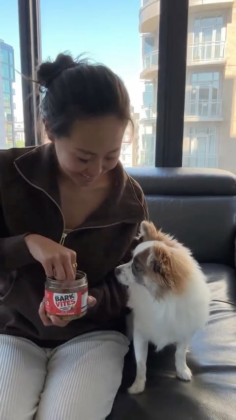 Instagram post by @ozzythetributepup for Pawjourr. Caption reads: [...] day. One chew. 14 benefits. Done. 💛....