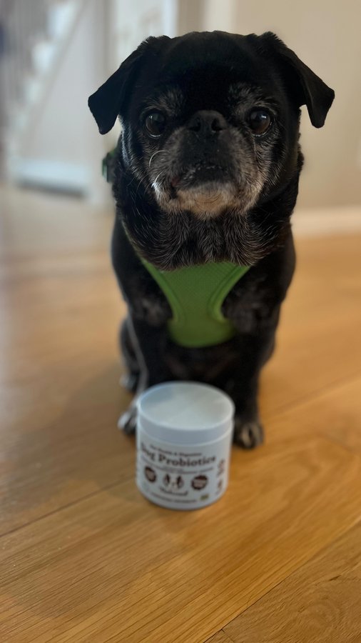 Instagram post by @thispugslife for Natural Dog Company. Caption reads: [...] than ever 🐾

That’s why we trust Natural....