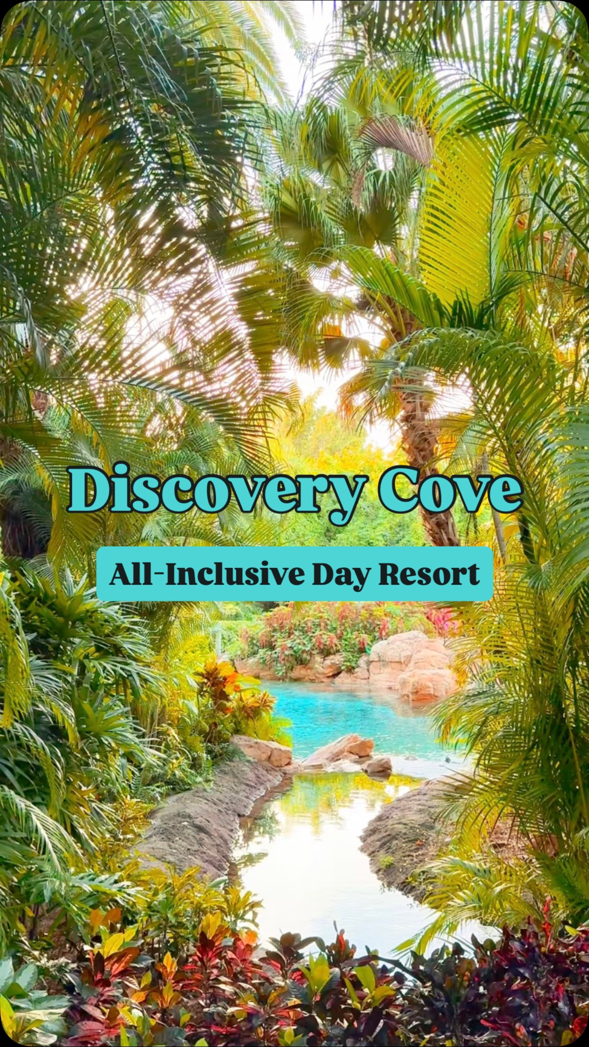 Instagram post by @theorlandoqueen for Visit Orlando. Caption reads: ✨ Relaxation meets adventure at Discovery Cove....