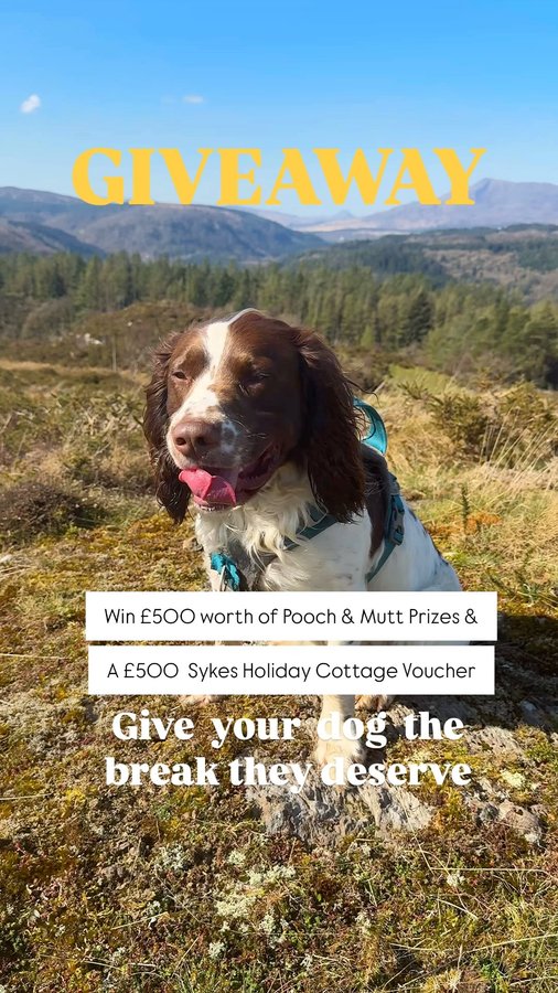 Instagram post by @northwalesadventurers for Pooch and Mutt. Caption reads: 🐶 CLOSED - GIVEAWAY 🐶

To celebrate National Pet....