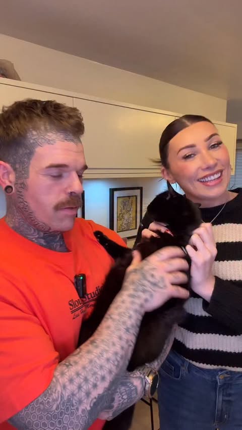 Instagram post by @alexisblakeofficial for KatKin. Caption reads: We upgraded our cat’s food to KatKin - because our....