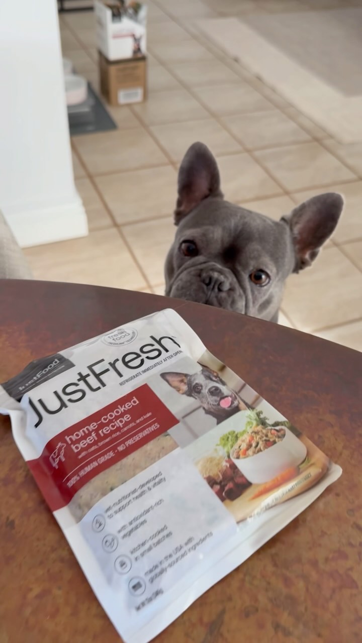 Instagram post by @michelle.madonna for JustFoodForDogs. Caption reads: So excited to finally switch @thatmagnoliagirl to....