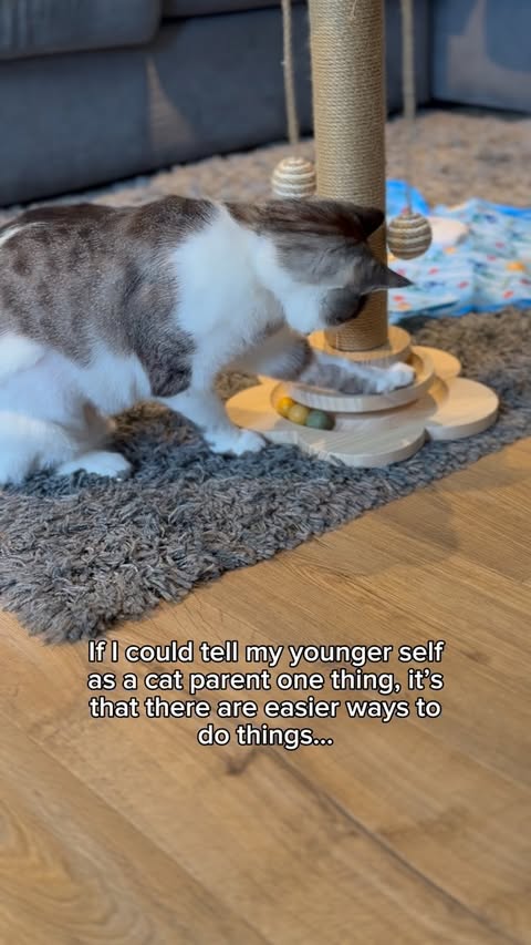 Instagram post by @lady.lola.and.her.boys for Litter-Robot by Whisker. Caption reads: Being a busy cat mum in a multi cat home means....