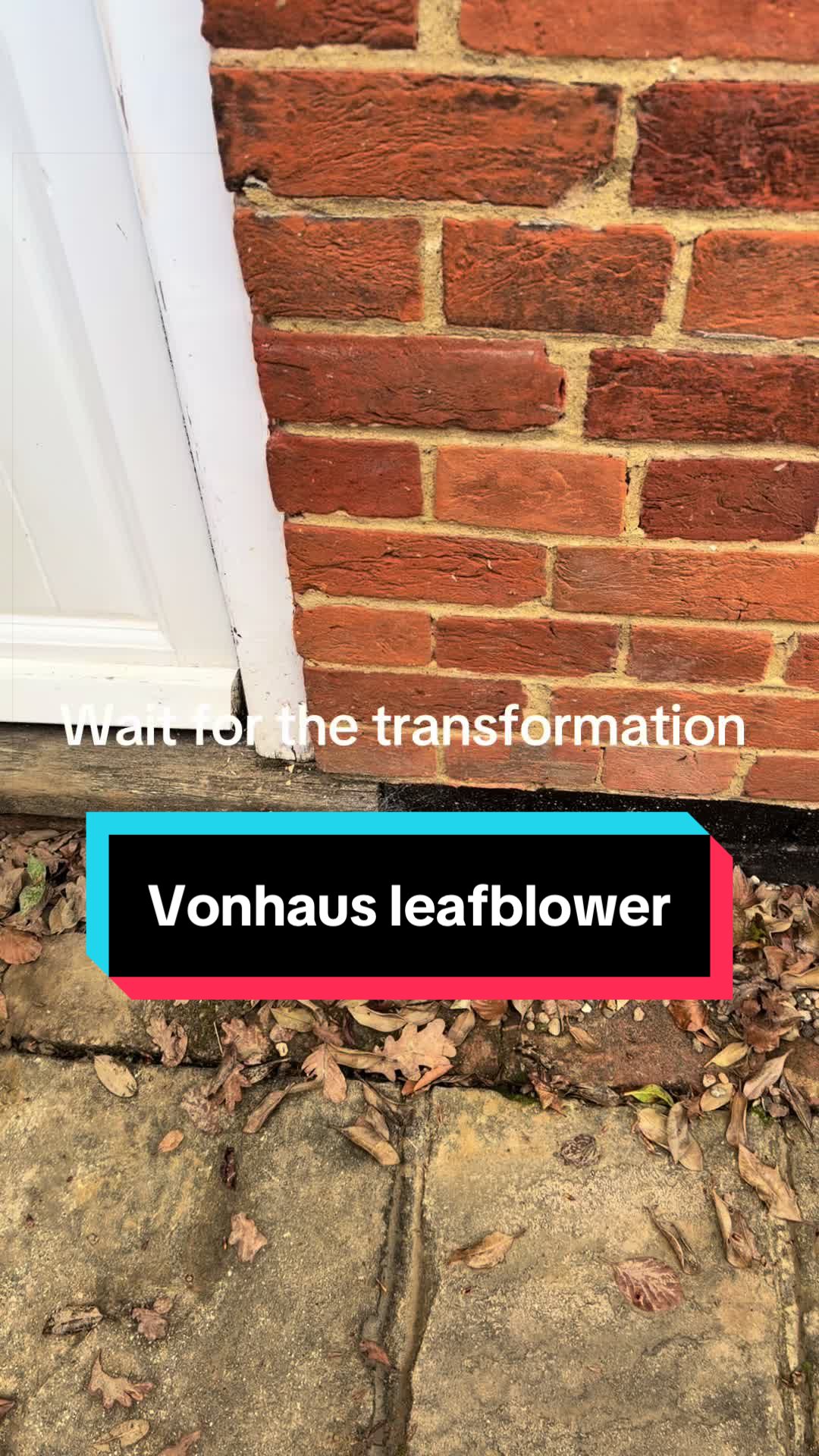 TikTok post by @paula.wellness for VonHaus. Caption reads: @Vonhaus 3-in-1 Leaf Blower Blower mode: pushes....