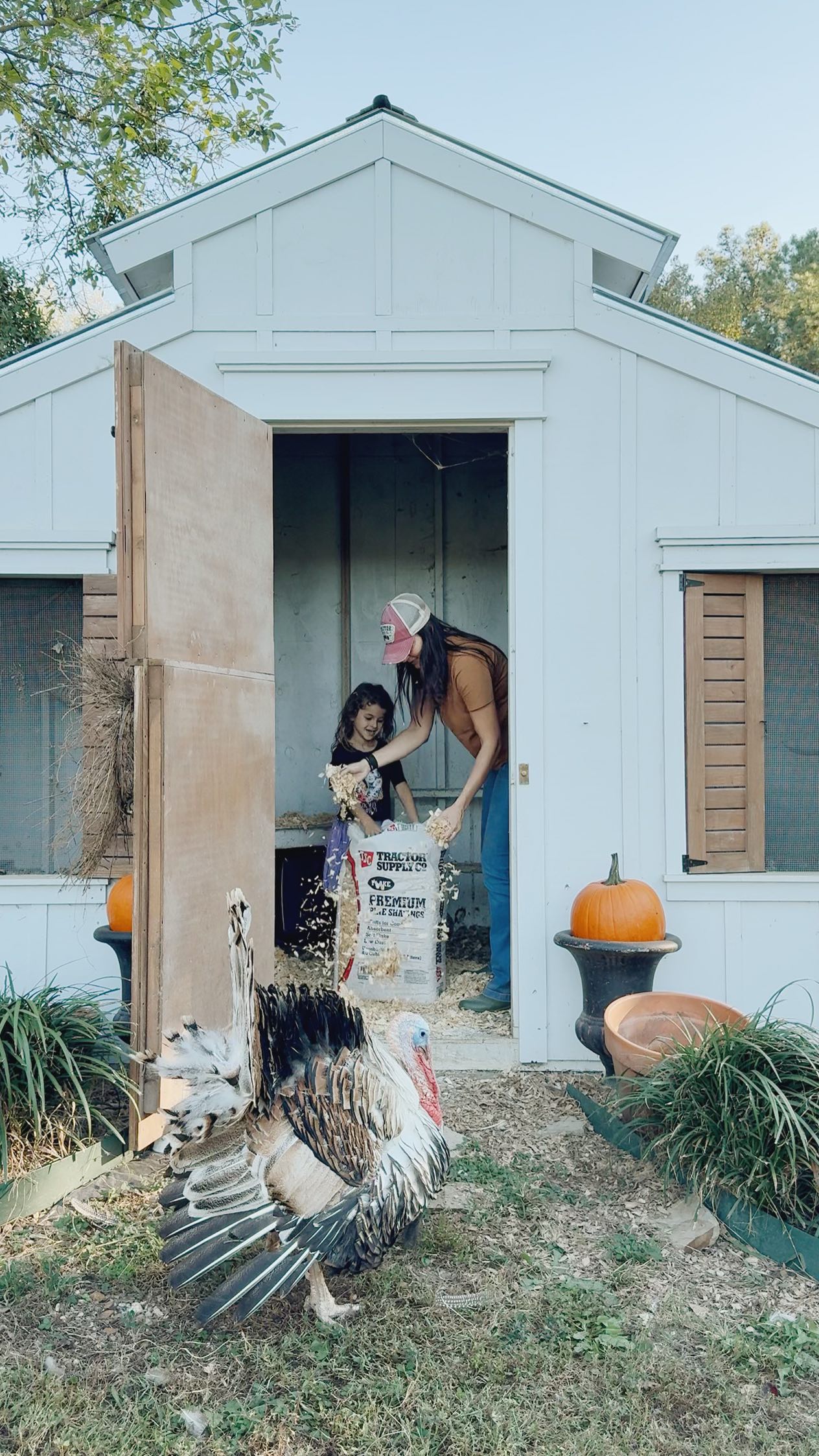 Instagram post by @azurefarm for Tractor Supply. Caption reads: Friend, now is the time to clean out your chicken....