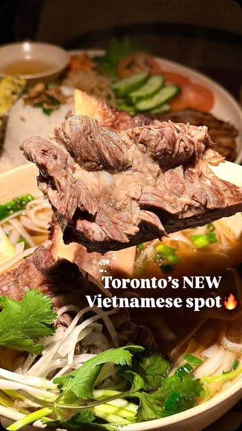 Instagram post by @ontario4u.promotions for YYZ Daily. Caption reads: Toronto y’all need to CALM DOWN !!! why are we....