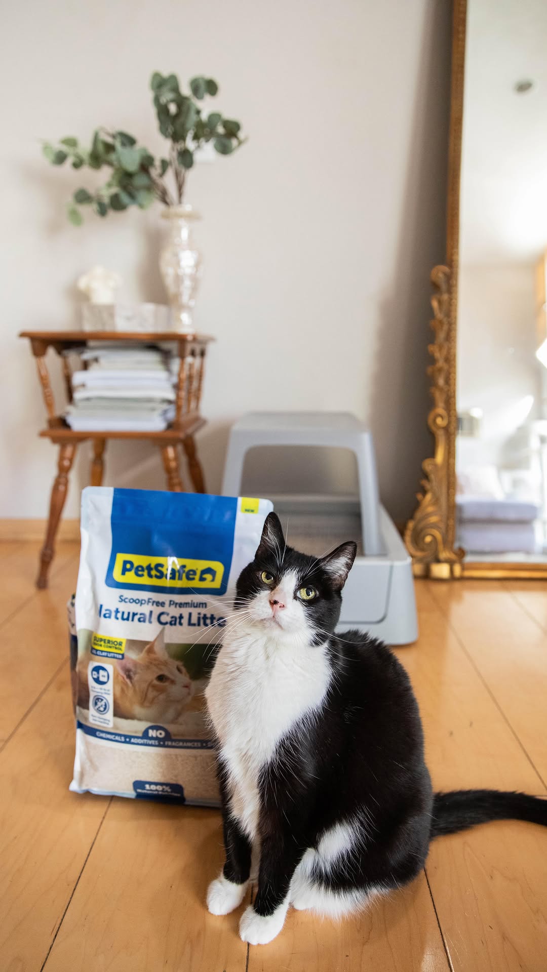 Instagram post by @jamienkidd for Petsafe. Caption reads: As a multi-cat household & a new parents we are....