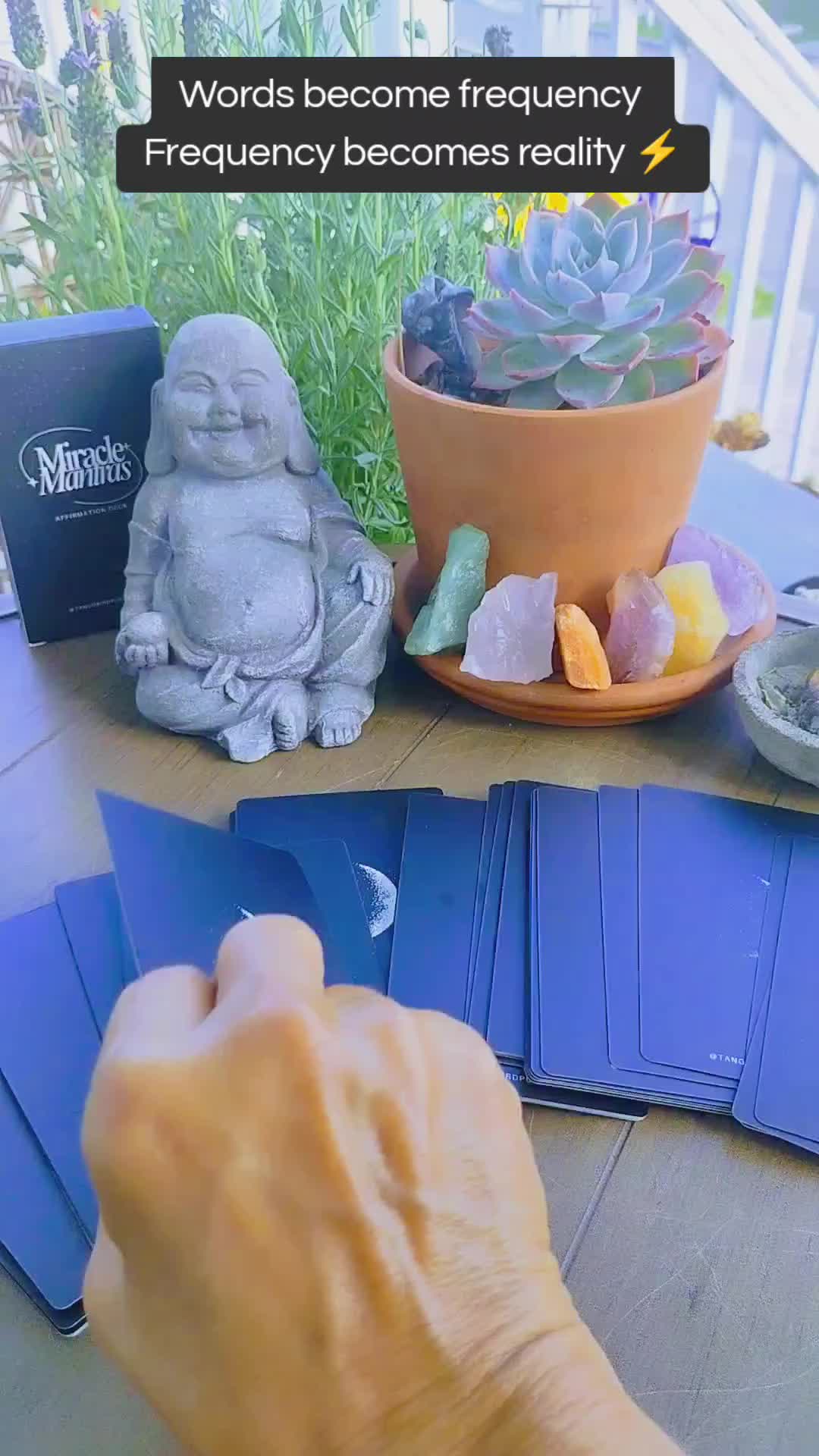 TikTok post by @lynnb.vibe for TangoBird Publishing. Caption reads: The energy shifts when you do 🪄✨ @Tango....