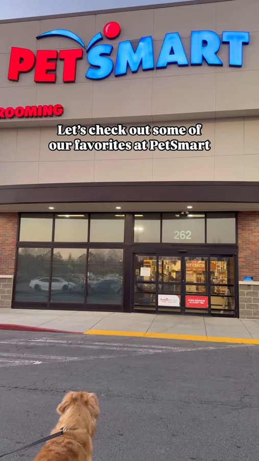 Instagram post by @usandourgoldens for Diggs. Caption reads: Sharing some of our household favorites as we....