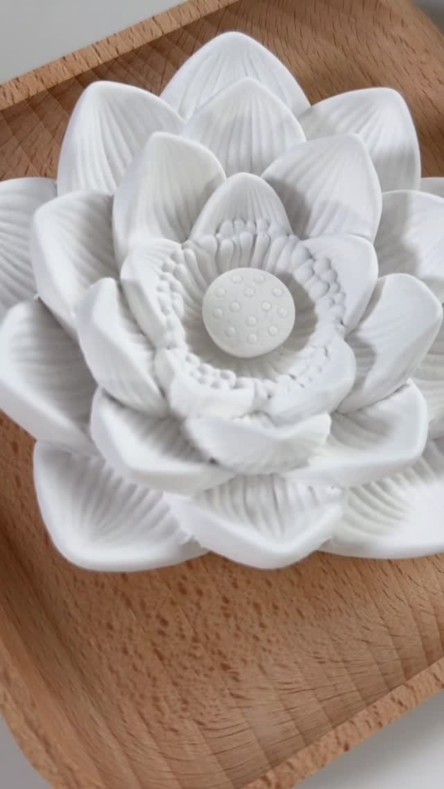 Instagram post by @ricthelisouza for Plant Therapy. Caption reads: [...] make self-care simple and natural....