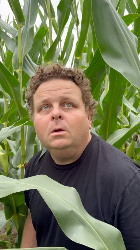 Instagram post by @patrickrenna for John Deere. Caption reads: [...] of Dreams ghost is kind of a jerk ⚾🌽....