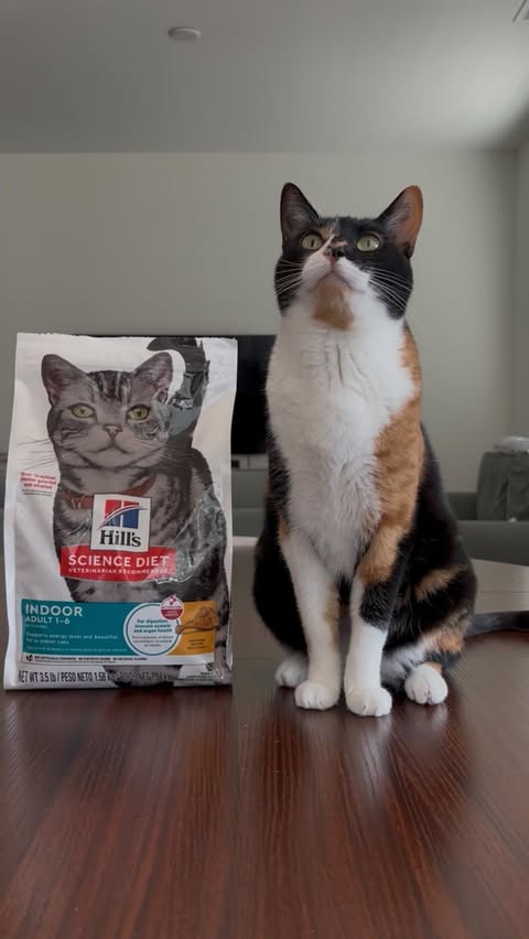 Instagram post by @ellawatchestv_ for Hill's Pet Nutrition. Caption reads: #ad #HillsPartner I can feel confident I’m doing....