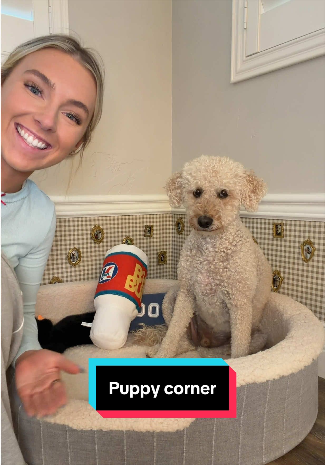 TikTok post by @serenaneel for Open Farm Pet. Caption reads: [...] corner!! #ad #DIY #craft Save 15% on @Open....