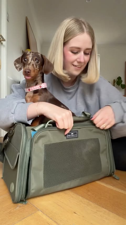 Instagram post by @thesweetlifeofcherry for Petsfit. Caption reads: Dog travel is everywhere right now and I wasn’t....