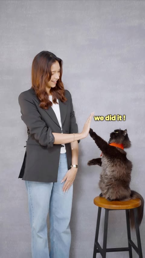 Instagram post by @chand_ashna for Bata Shoes. Caption reads: Cat Knows Comfort 🐾 And clearly, mine knows it....