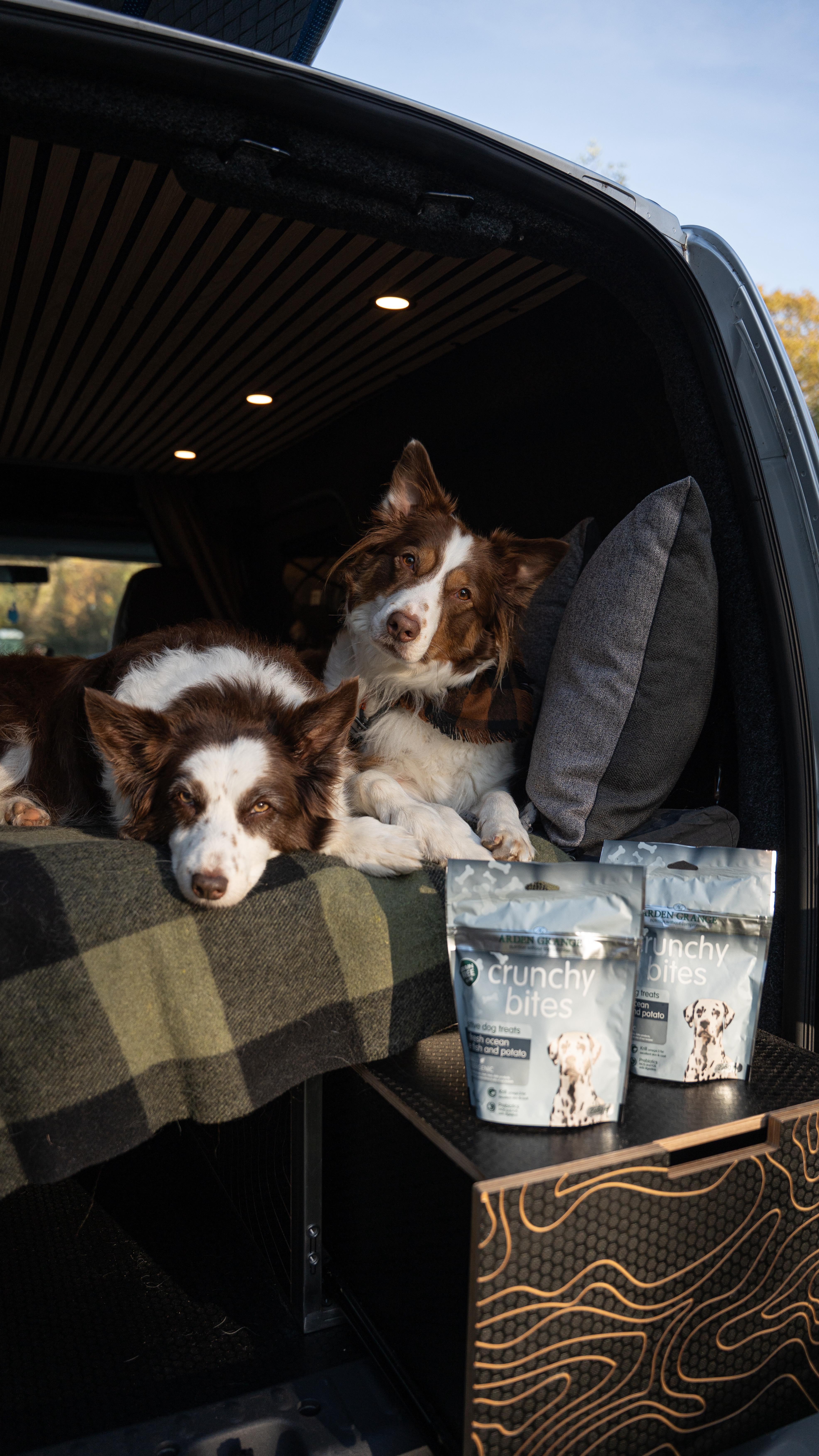 Instagram post by @pippaontheprowl for Arden Grange. Caption reads: [...] needs an adventure snack and @ardengrangeuk....