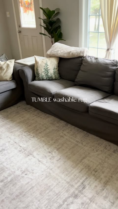 Instagram post by @northsouthblonde for Tumble Circus. Caption reads: Here’s your sign to upgrade to a washable rug #ad....