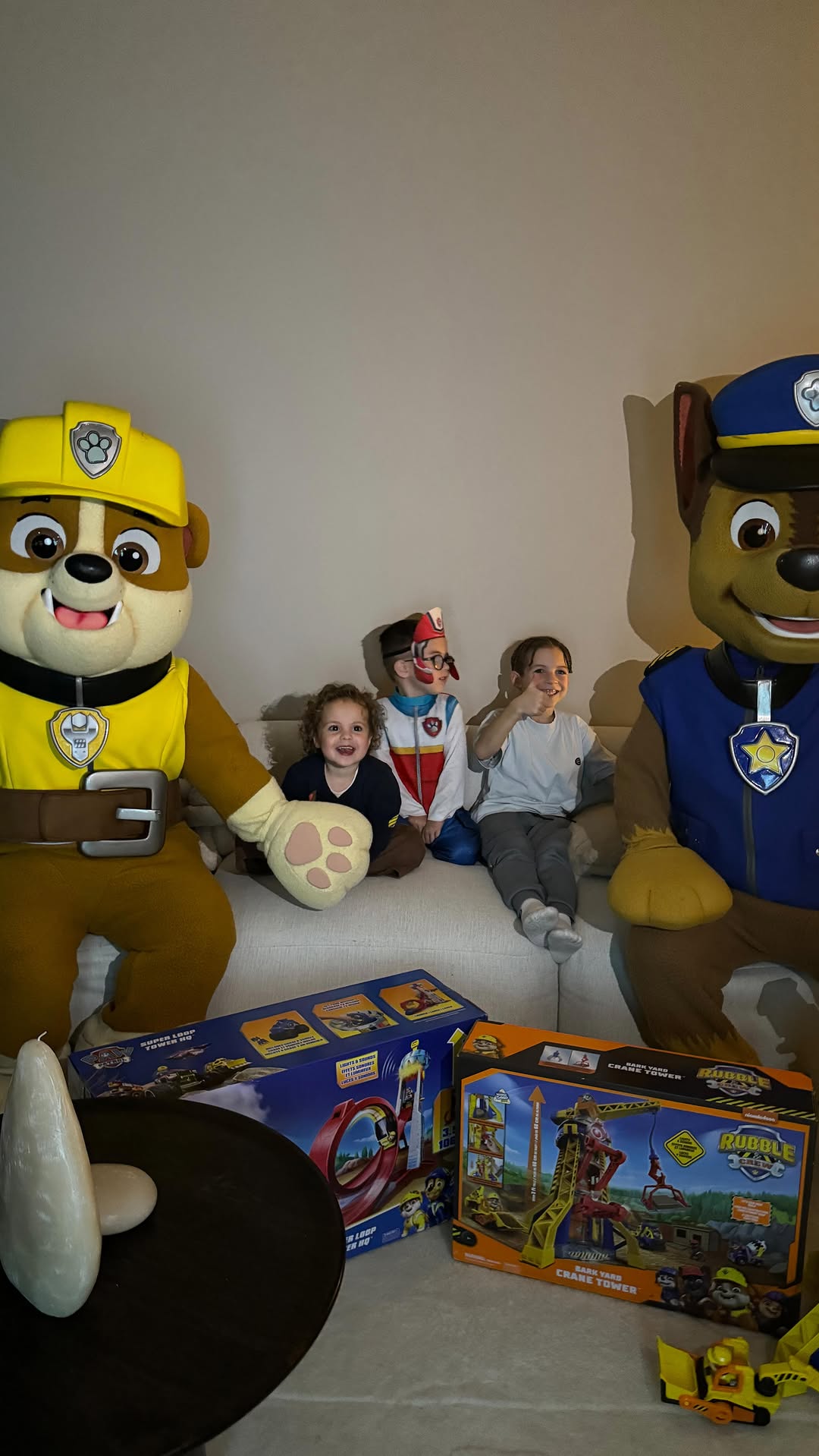 Instagram post by @demideboer for PAW Patrol. Caption reads: Ik denk als ik Remi zou vragen of dit haar best....