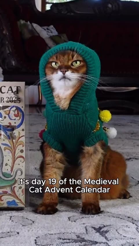 Instagram post by @summerstravels for Cameo. Caption reads: We’ve had a couple of really good days with the....