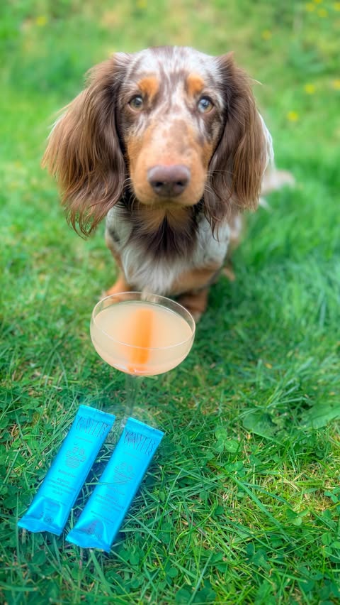 Instagram post by @goosethepubdog for Pawer Water. Caption reads: Make a Pawerwater martini with us 🍸 Super easy to....