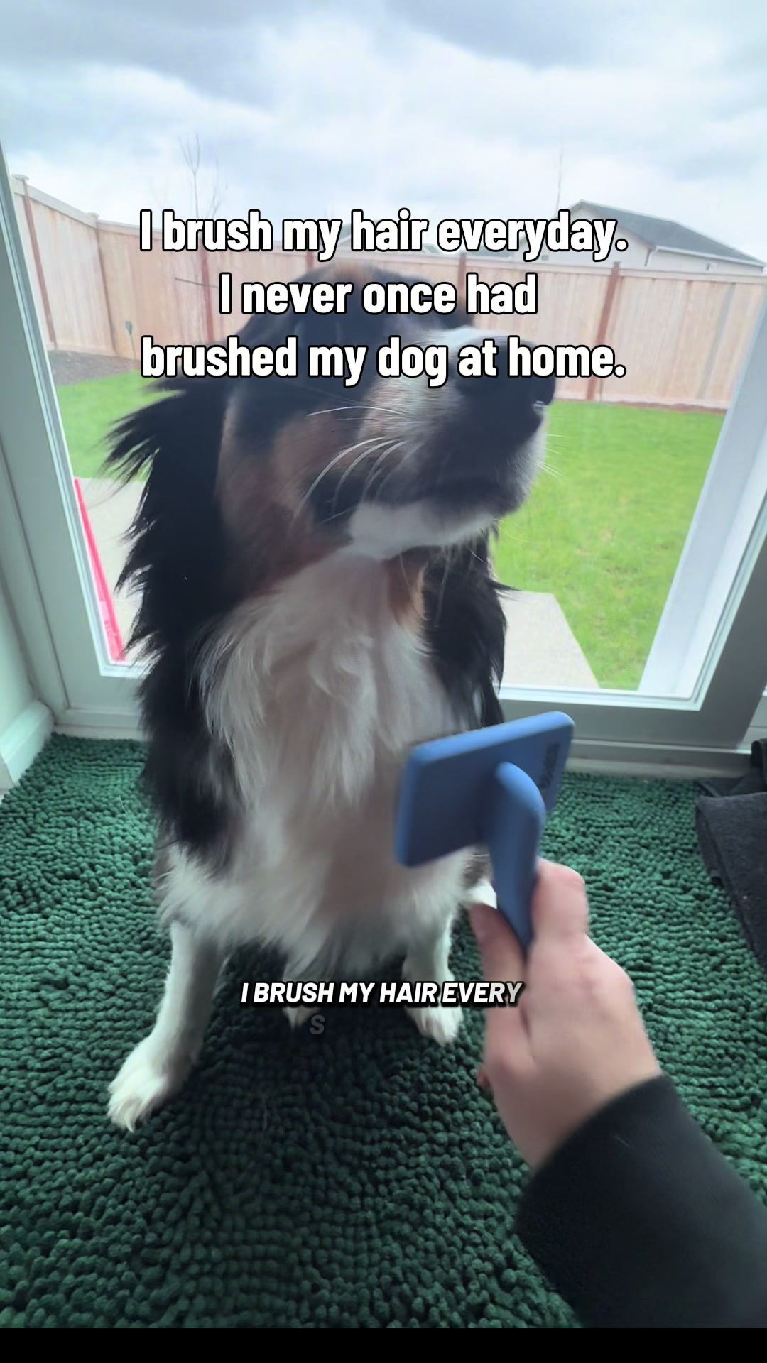 TikTok post by @zarathewildflower for We Love Doodles. Caption reads: [...] project until I got this brush. The We Love....