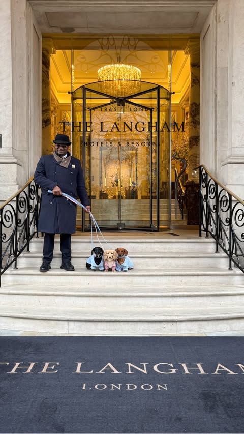 Instagram post by @pacos.place for The Langham Hotels & Resorts. Caption reads: These dachshunds just checked themselves into....