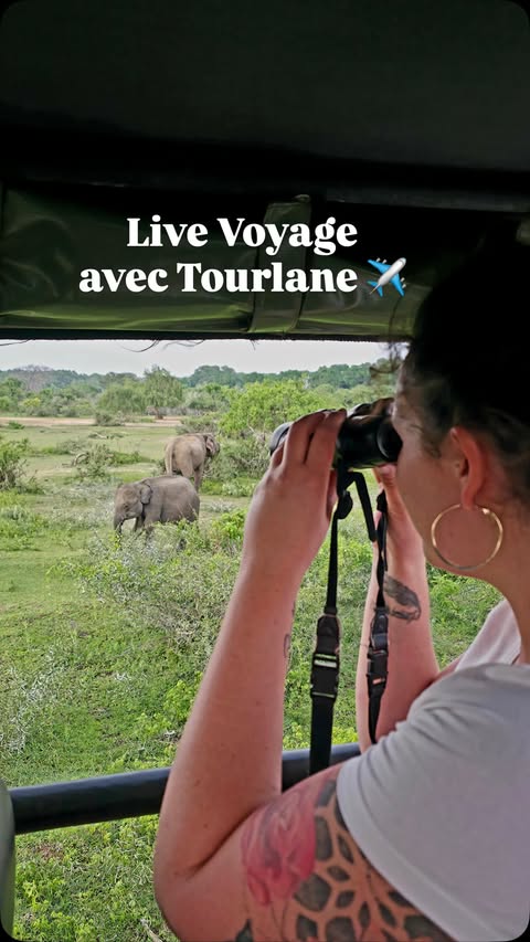 Instagram post by @alicek_off for Tourlane. Caption reads: Replay live Vacances avec @tourlane 💚 Code Promo....