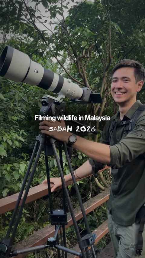 Instagram post by @alphauniversemy for Sony. Caption reads: [...] in the treetops. Over the past year, the....