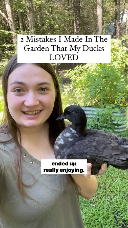 Instagram post by @dunkin.ducks for Epic Gardening. Caption reads: [...] than I was this year 🦆 🍓🫛....