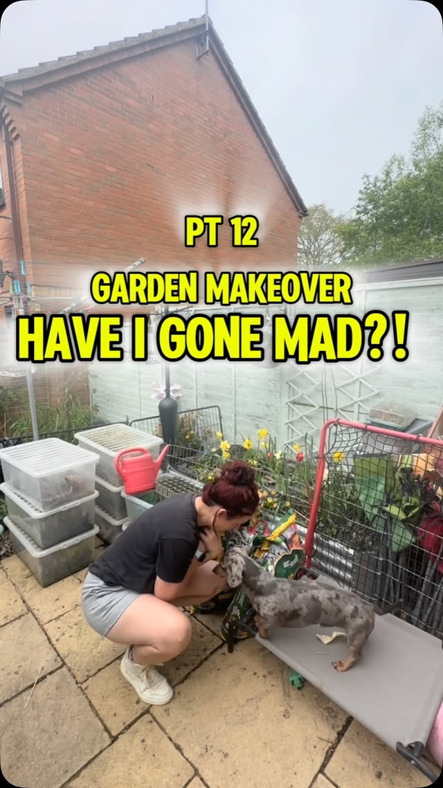 Instagram post by @the_aplotmentshire for Farmers Defense. Caption reads: Big changes happening on the patio! 🙀 One of the....