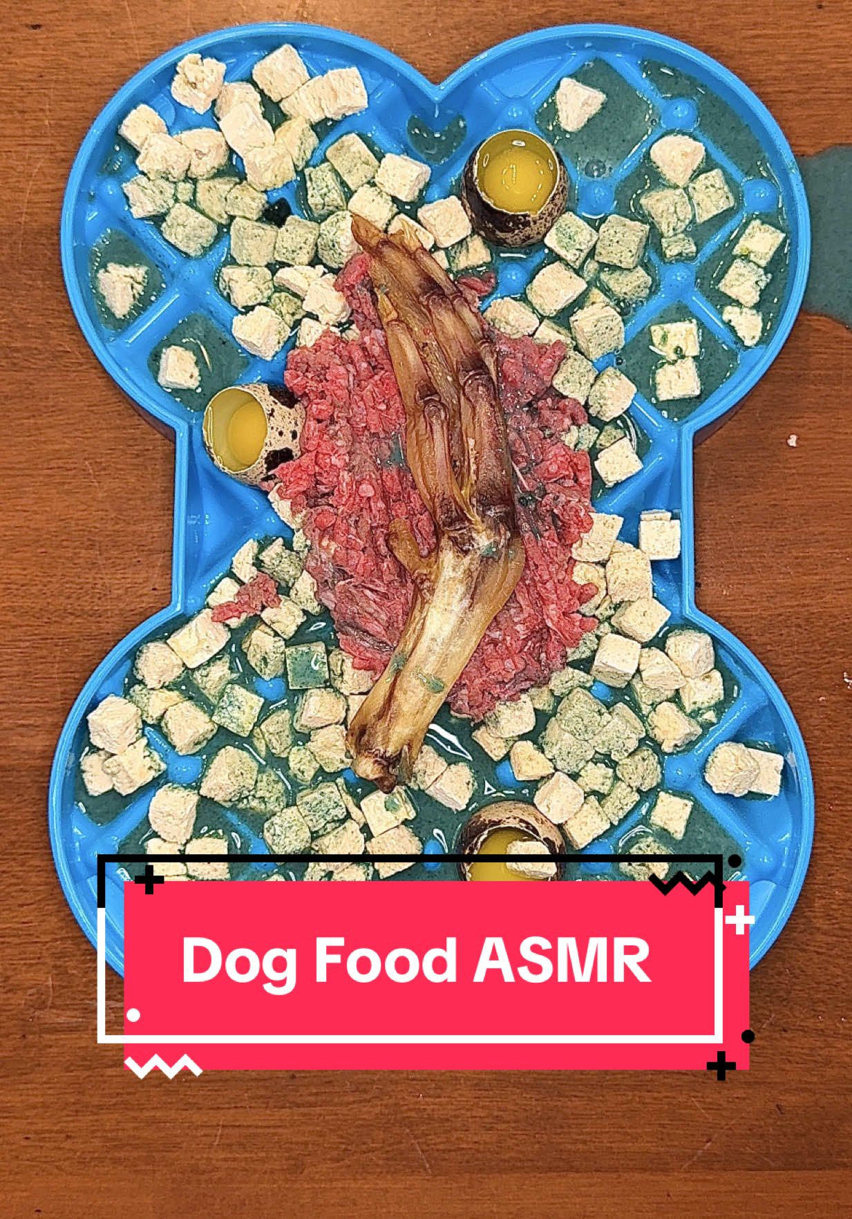 TikTok post by @kaylakowalskinutrition for Weruva. Caption reads: [...] #dogasmr #rawfeddog #asmr #dogfood @Weruva....