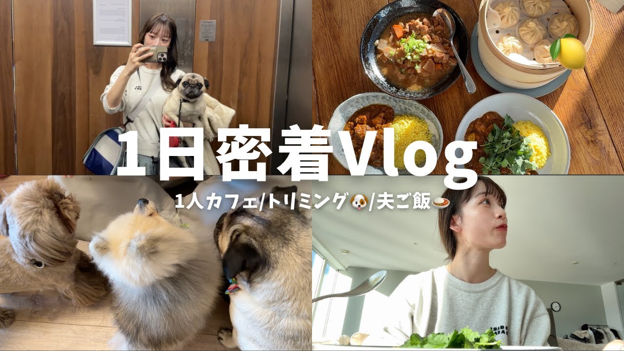 YouTube post by @yufudayo for Qoo10. Caption reads: [1-day Vlog] I leave dinner to my husband 🍚 A....