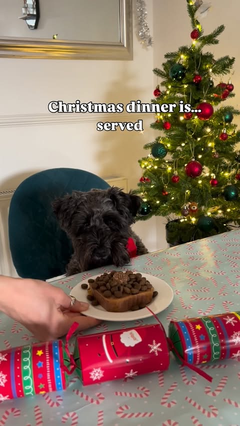 Instagram post by @its_little_eddy for Scrumbles. Caption reads: [...] menu? 🍽️ 

I’ve gone full turkey....