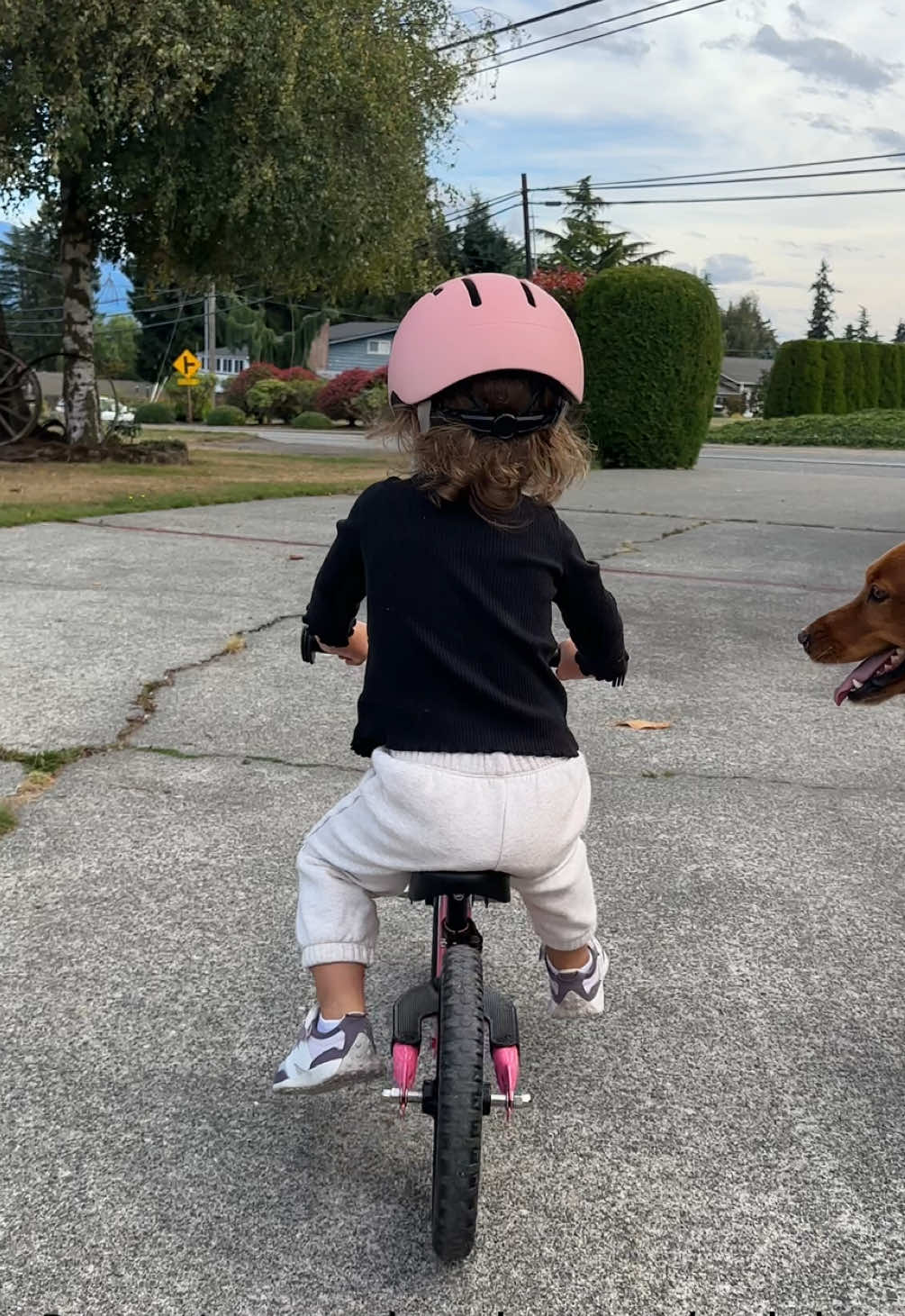 TikTok post by @jennagahan for Strider Bikes. Caption reads: [...] #toddlersoftiktok #balancebike @Strider....