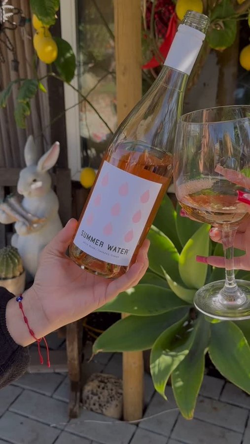 Instagram post by @ohheyitsevee for Summer Water. Caption reads: @summerwater 💌.