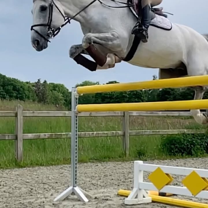 Instagram post by @celinamariafinkaabo for Pomme. Caption reads: [...] wearing breeches from @wearepomme 
#tbt....