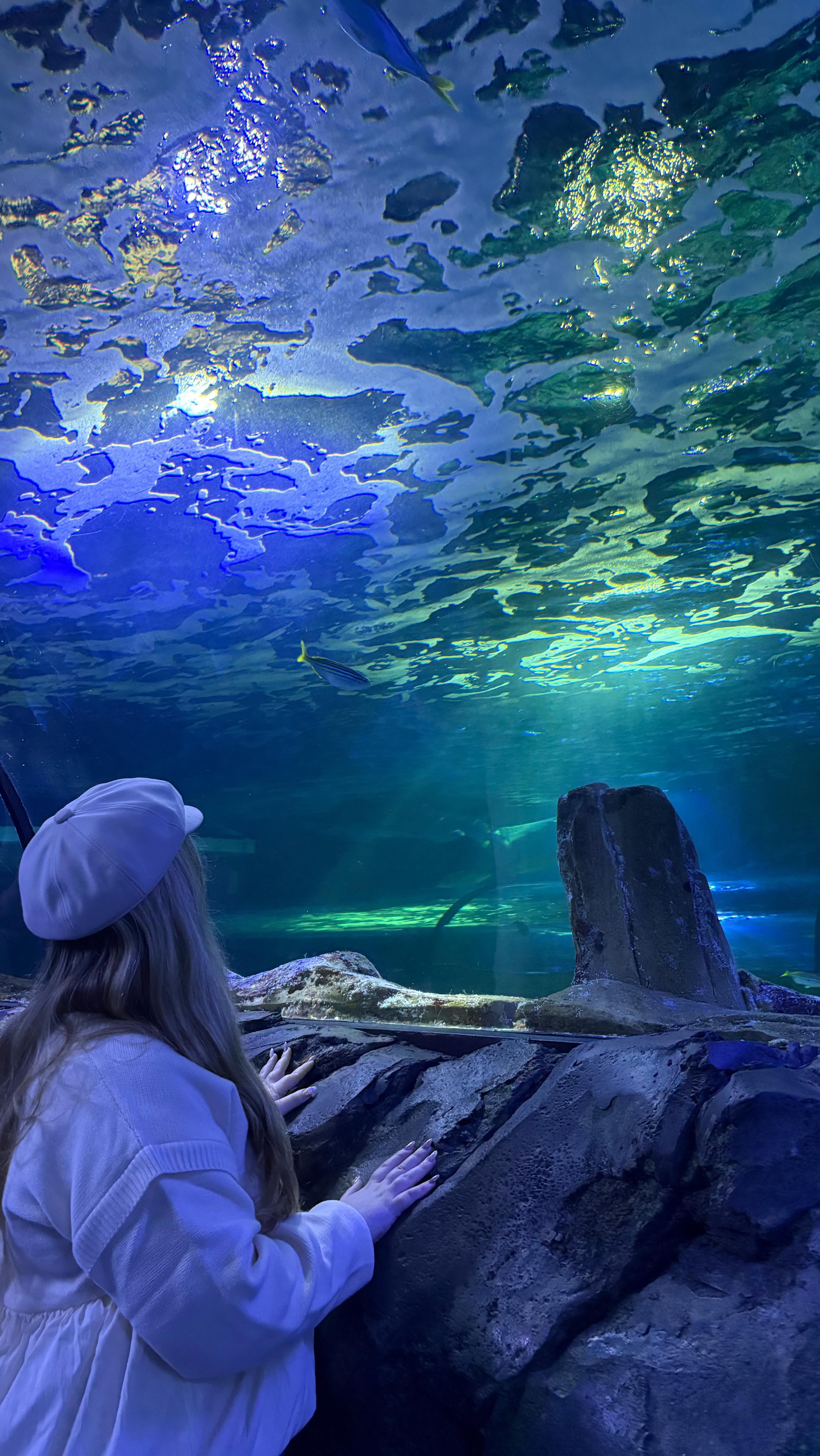 Instagram post by @hellomissemma for Sea Life Centre. Caption reads: If you’re in Sydney, this is an absolute must-do!....