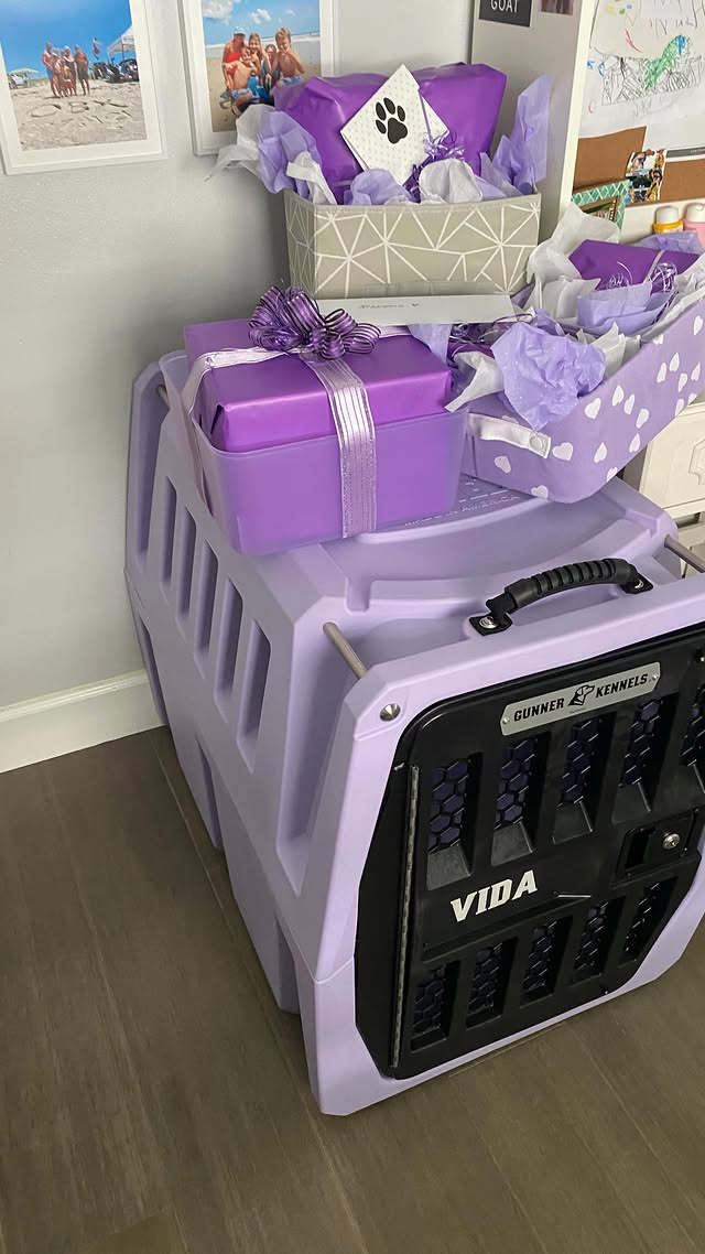 Instagram post by @k9gunnertactical for Gunner. Caption reads: [...] get the best AND safest so it had to be....