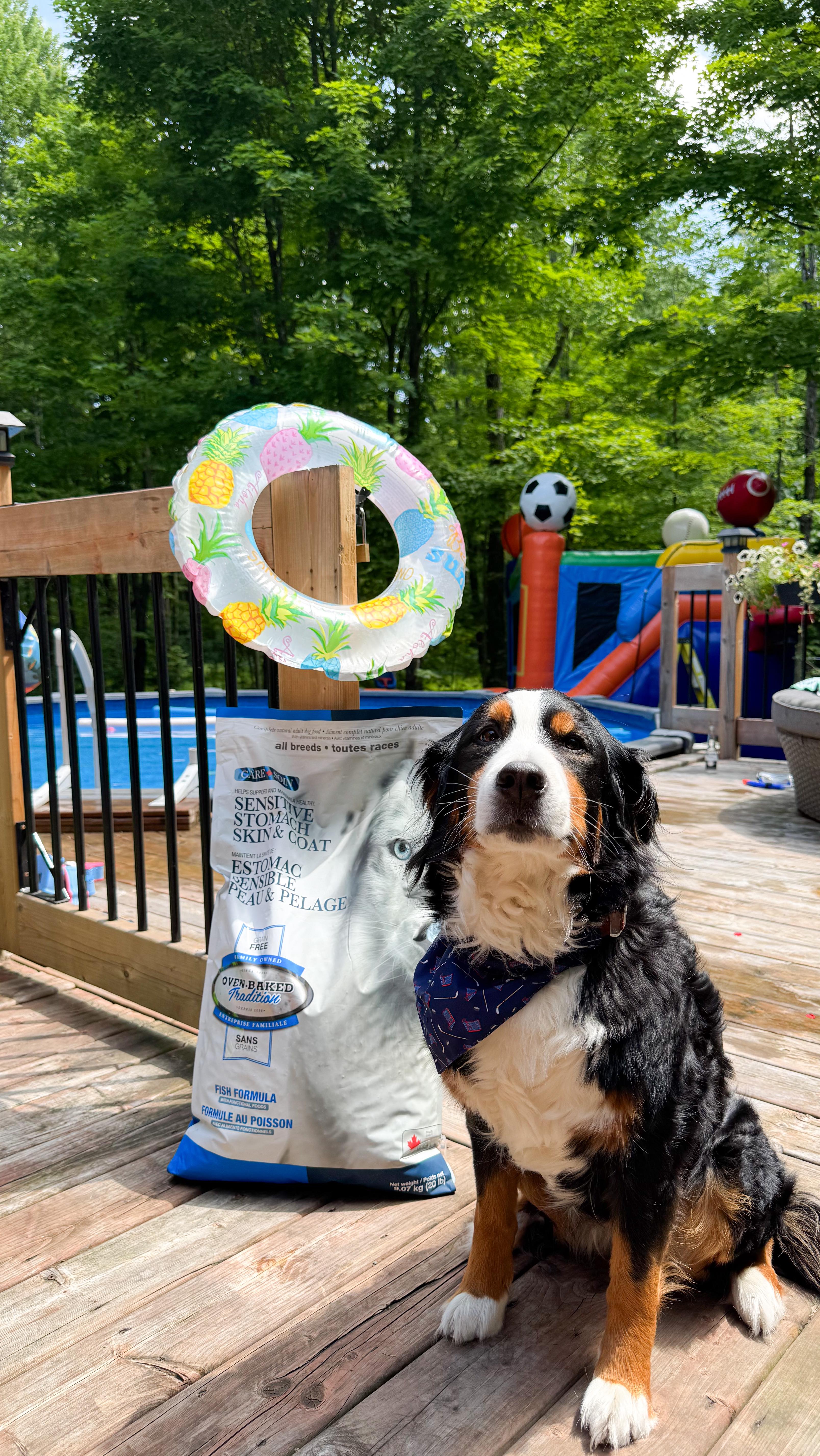 Instagram post by @kim_demers for Oven-Baked Tradition. Caption reads: Le genre de journée qu’on aimerait mettre sur «....