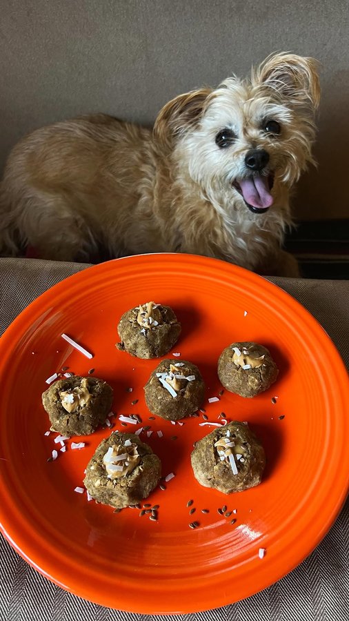 Instagram post by @meaganjmitchell for Optimeal. Caption reads: [...] easy way to treat your pup from home!....