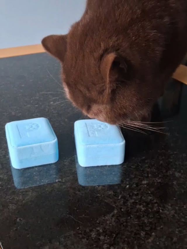 Instagram post by @gilbert.and.rubeus for Pupring. Caption reads: [...] engraved necklaces of the boys from @pupring....