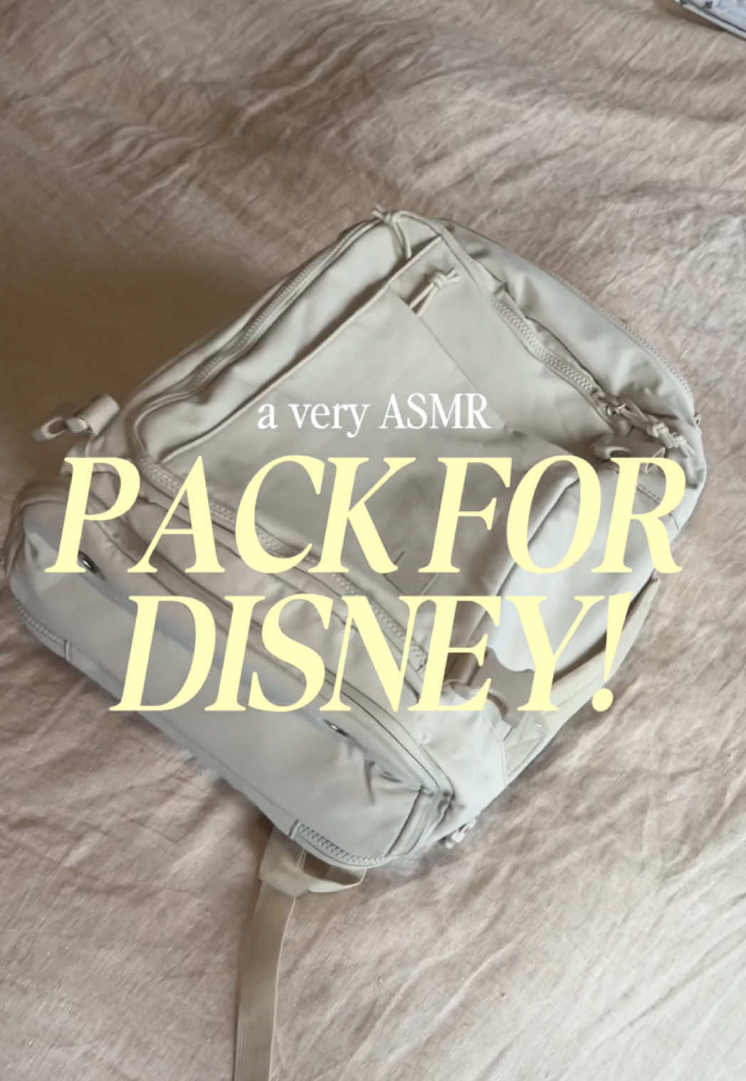 TikTok post by @taylordoesparks for BAGGU. Caption reads: [...] #disneyworld #bagsmart @BAGSMART @BAGGU....