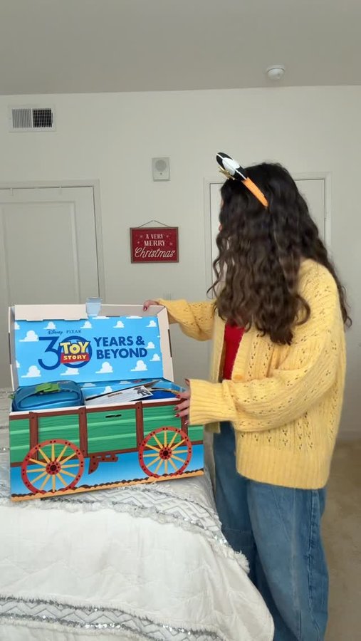 Instagram post by @emilynels8 for Pixar. Caption reads: HAPPY 30TH ANNIVERSARY TOY STORY!! 🤠⭐️

thank you....