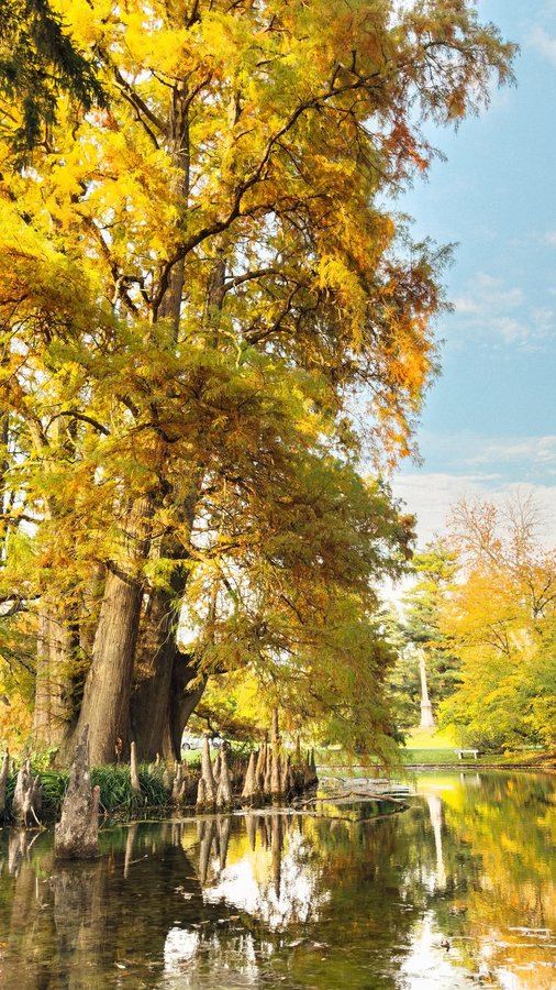 Instagram post by @etcbysarah for 1800 Contacts. Caption reads: oh hey, i’m a contacts girlie now 🤝🏼 covered....