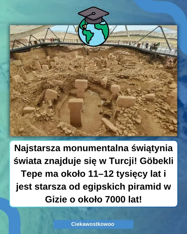 Instagram post by @ciekawostkowoo for Wakacje.pl. Caption reads: [...] Współpraca płatna z @_wakacjepl #ciekawostka....