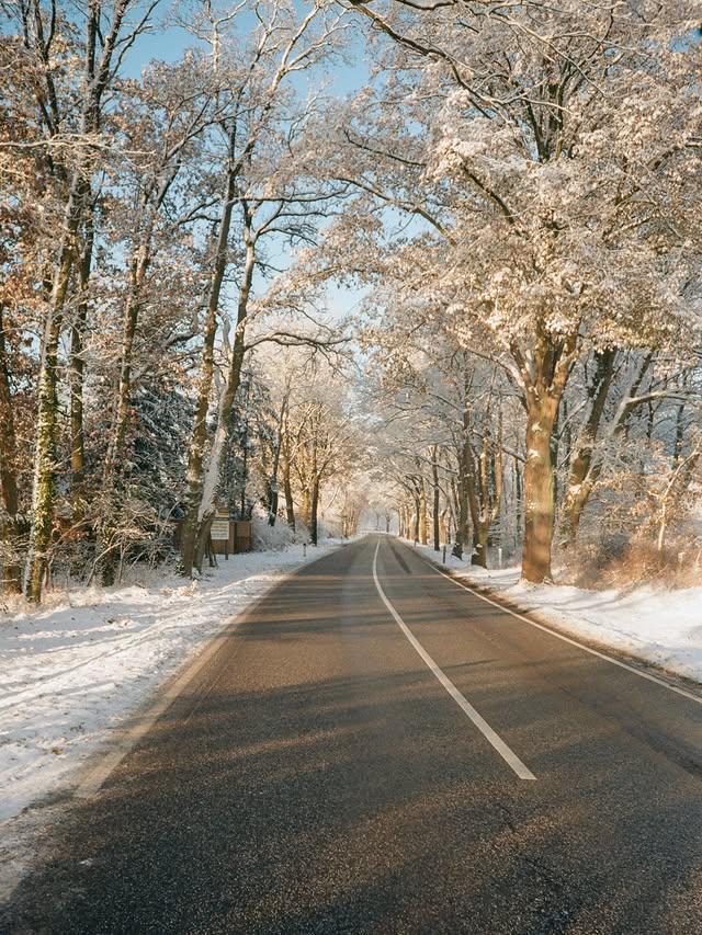 Instagram post by @paddyjw_smith for Kodak. Caption reads: Kodak Gold & Snow ❄️💛 I think it must be one....