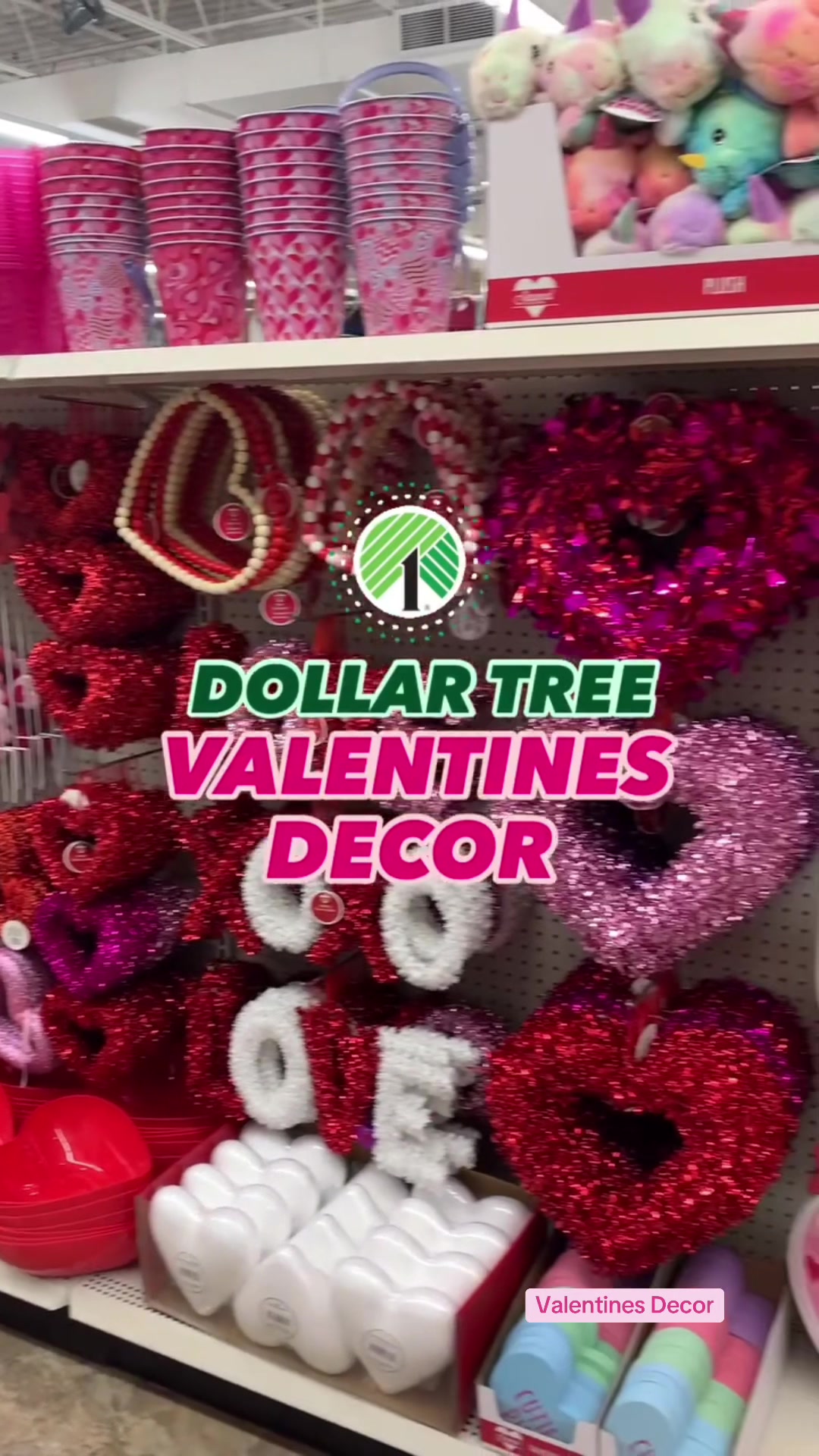 TikTok post by @the.party.connection for Dollar Tree. Caption reads: [...] Day on a budget but still cute? Shop @Dollar....