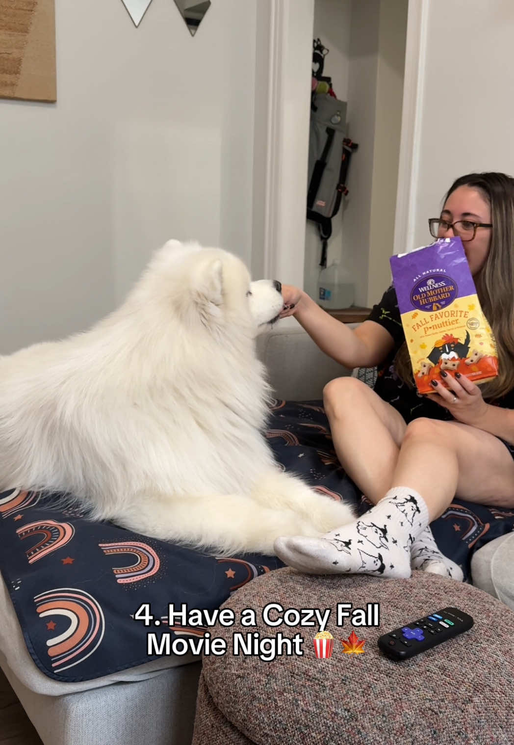 TikTok post by @biffthesamoyed for Wellness Pet Food. Caption reads: [...] the activity, we’re bringing @Wellness Pet....
